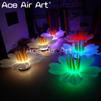 inflatable event decoration,event,inflatable,wedding
