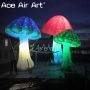 Advertising,LED light,Party,Trade show,event