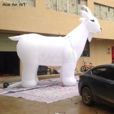 Advertising,Animal,Balloon,Party,Rental,Trade show,air blower,custom,event,inflatable,oxford fabric